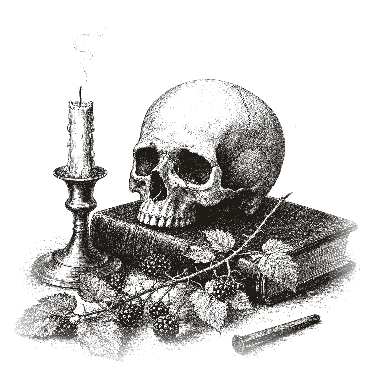 Engraving: skull on a grimoire, a lit taper, a bramble, an iron nail